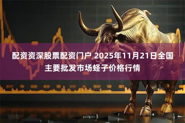 配资资深股票配资门户 2025年11月21日全国主要批发市场蛏子价格行情